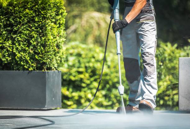Best Soft Washing for Delicate Surfaces in Hanapepe, HI